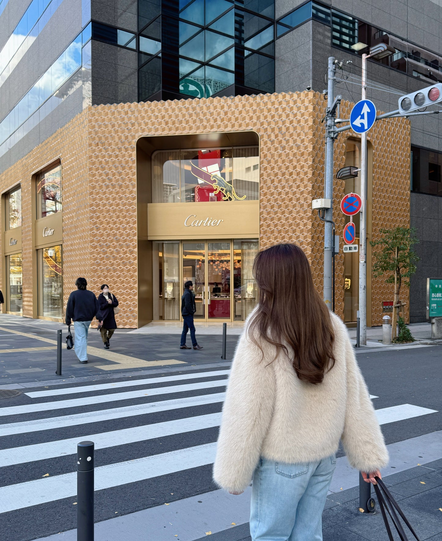 New Winter Luxe Coat